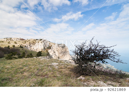 A wonderful and unusually beautiful landscape overlooking the high plateau of the Crimean mountains. Clean and reasonable nature of Crimea. Ukraine, territory occupied by the Russian Federation. 92621869