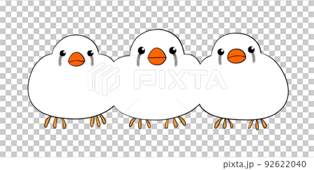 斑胸草雀栗子弗蘭克白 92622040