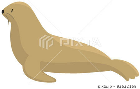 ニホンアシカ 92622168