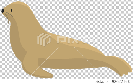 ニホンアシカ 92622168