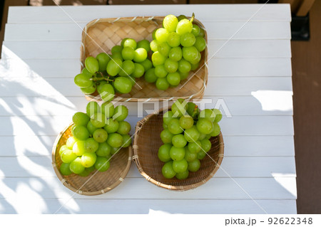 シャインマスカット　葡萄 92622348