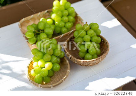 シャインマスカット　葡萄 92622349