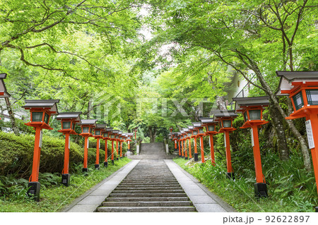 初夏のあおもみじと鞍馬寺 92622897
