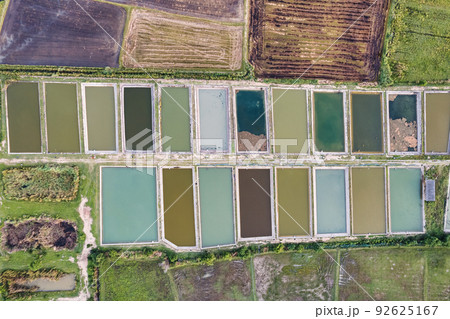Aerial view of natural industry fishery and prawn farm in soil pond on agricultureal area 92625167