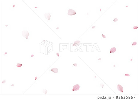 Cherry petals backdrop. Sakura petals background. 92625867