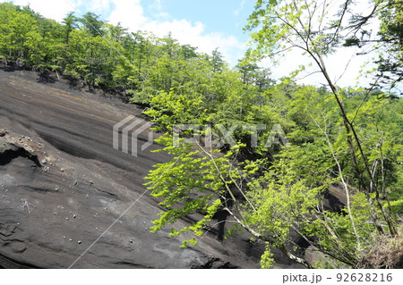 日本版グランドキャニオン 92628216