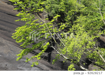 日本版グランドキャニオン 日本版グランドキャニオン 92628217