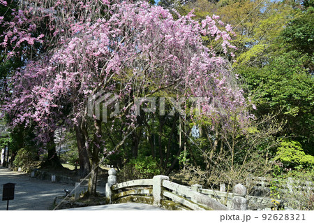 三井寺 三井寺 92628321