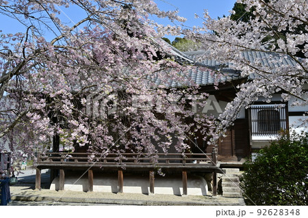 三井寺 三井寺 92628348