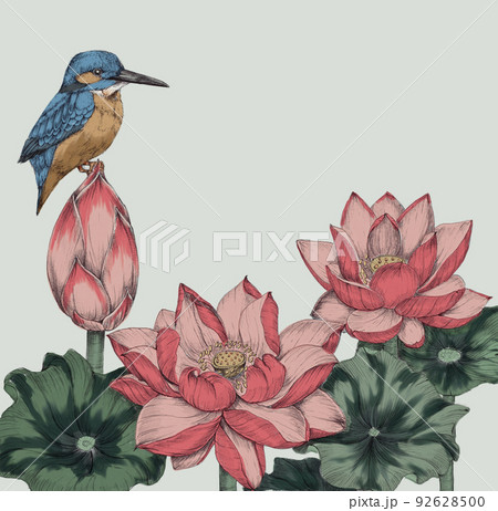 蓮と鳥の花鳥画風イラストのイラスト素材
