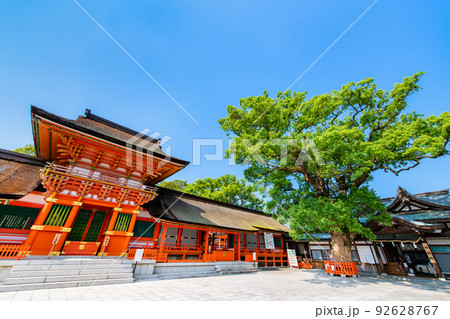 大分県 宇佐神宮　～上宮と大楠～ 92628767