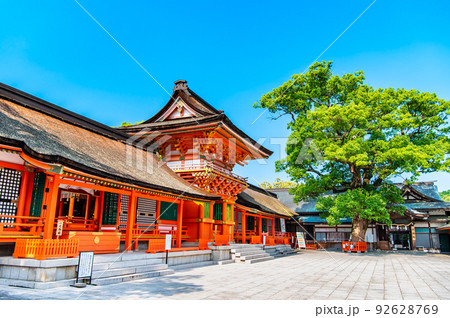 大分県 宇佐神宮　～上宮と大楠～ 92628769