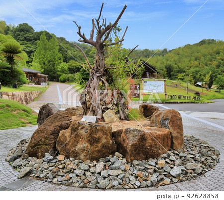道の駅四季の郷公園（和歌山県） 92628858