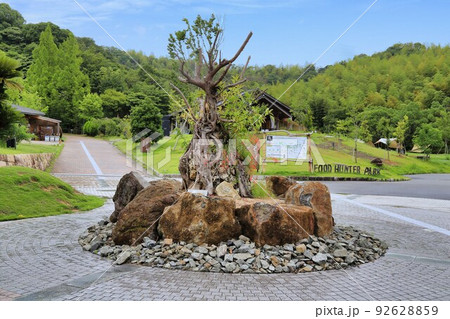 道の駅四季の郷公園(和歌山県) 道の駅四季の郷公園(和歌山県) 92628859