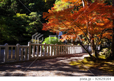 身延山久遠寺の紅葉 身延山久遠寺の紅葉 92629164