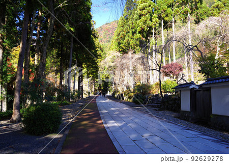 身延山久遠寺の紅葉 身延山久遠寺の紅葉 92629278