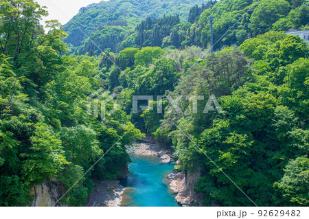 吾妻峡　ふれあい大橋から上流の風景　新緑の季節　　 92629482