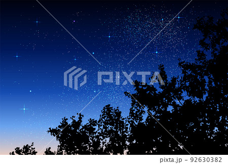 ベクター背景素材_夜空_森 ベクター背景素材_夜空_森 92630382