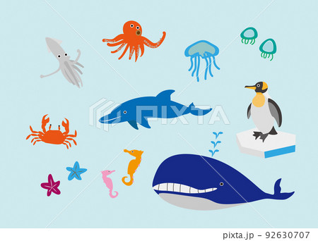 海の生き物 92630707