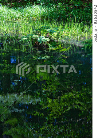 白山平泉寺 白山平泉寺 92630842