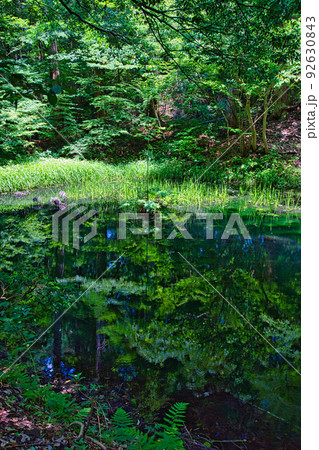 白山平泉寺 白山平泉寺 92630843