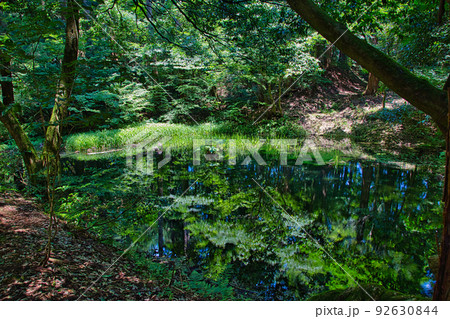 白山平泉寺 白山平泉寺 92630844
