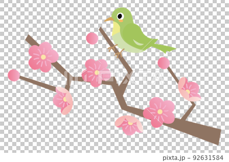 Plum blossom and white-eye 92631584