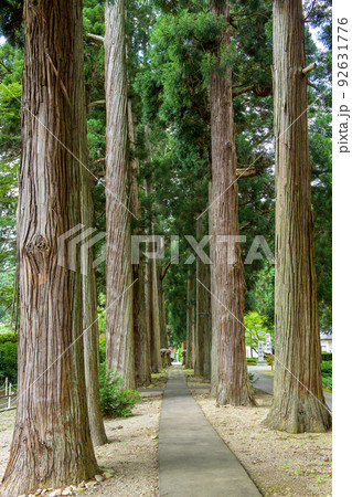 唐松神社杉並木　秋田県 92631776