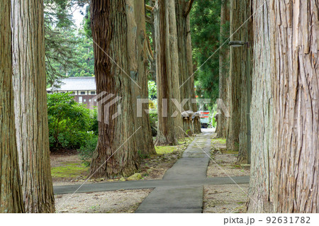 唐松神社杉並木 秋田県 唐松神社杉並木 秋田県 92631782