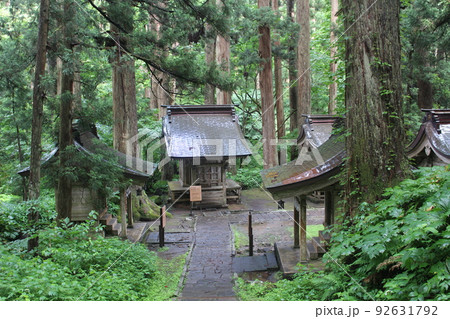 杉並木　天然記念物　出羽三山神社　天神社　出羽三山　山形県　鶴岡市 92631792