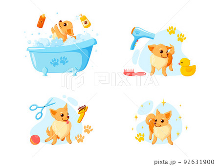 Dog grooming in a bath with pet shampoo, combs and rubber ducks. Playful chihuahua puppy in grooming service. Vector illustration 92631900