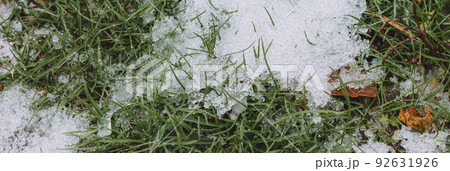 moody green grass growing through the snow on a field in winter with autumn leaves banner photo, low angle view, copy space, hello spring, goodbye winter concept 92631926
