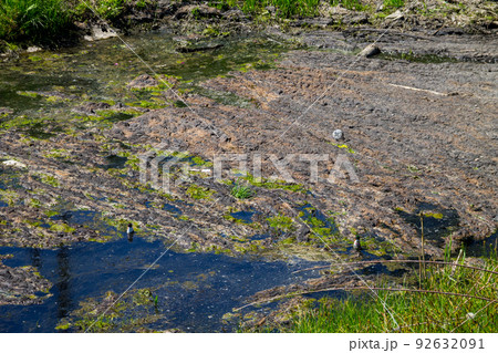 Water drain in the canal. Green algae in water surface. Environmental pollution Water drain in the canal. Green algae in water surface. Environmental pollution 92632091