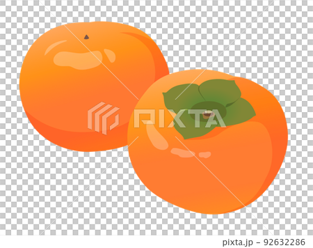persimmon 92632286
