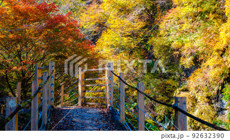 大柳川渓谷（秋）：竜門橋 92632390