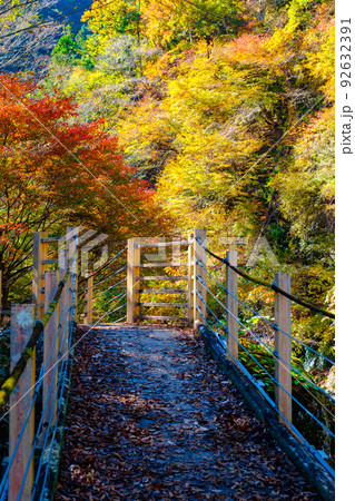 大柳川渓谷(秋):竜門橋 大柳川渓谷(秋):竜門橋 92632391