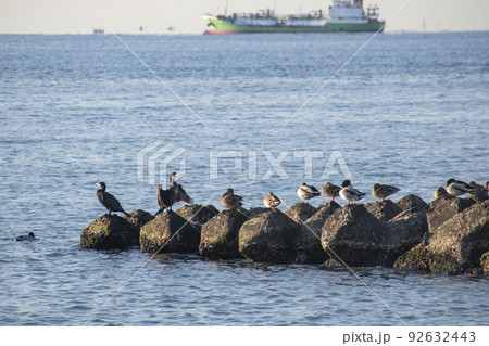 夕方の静かな海辺 92632443
