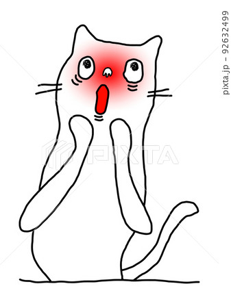 顔が真っ赤になるきもかわ猫 92632499