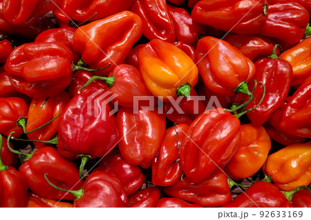 Stack of habanero chilis on a market stall 92633169
