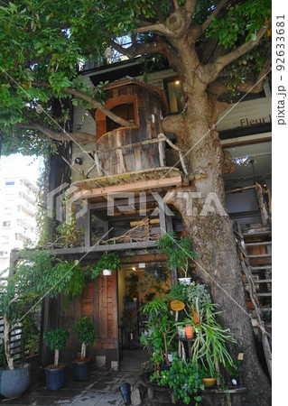 7月　渋谷1087広尾ツリーハウス花屋 92633681
