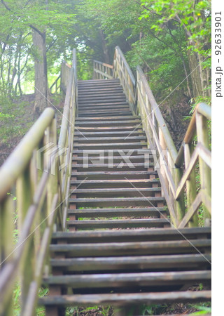 林道の急な上り階段 92633901