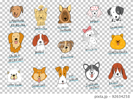 Hand-drawn pet illustrations with a gentle touch Various dog breeds 92634258