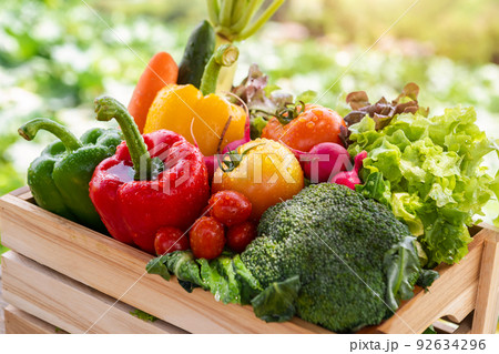 Wooden crate filled with fresh organic vegetables in morning light. . Wooden crate filled with fresh organic vegetables in morning light. . 92634296