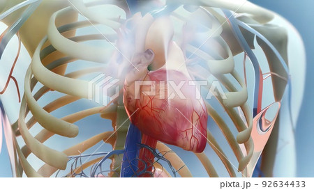 Heart failure means that the heart is unable to pump blood around the body properly. 92634433