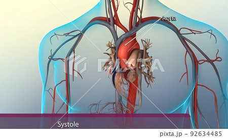 Systole causes the ejection of blood into the aorta and pulmonary trunk. 92634485