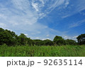 草むらの上の青空と雲 92635114