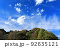 森の上に現れた巻雲 92635121