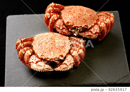 毛蟹 甘みたっぷりの美味しい蟹 毛蟹 甘みたっぷりの美味しい蟹 92635917