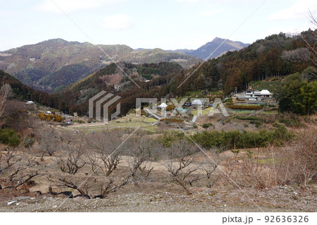 徳島佐那河内村の初春の風景 92636326