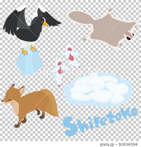 Illustration set of animals living near Shiretoko in Hokkaido 92636594